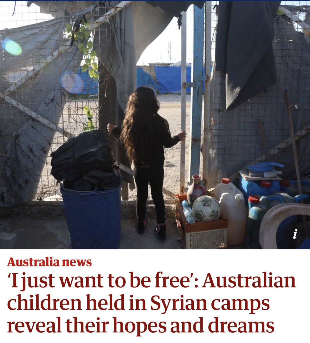 David Shoebridge tweet media