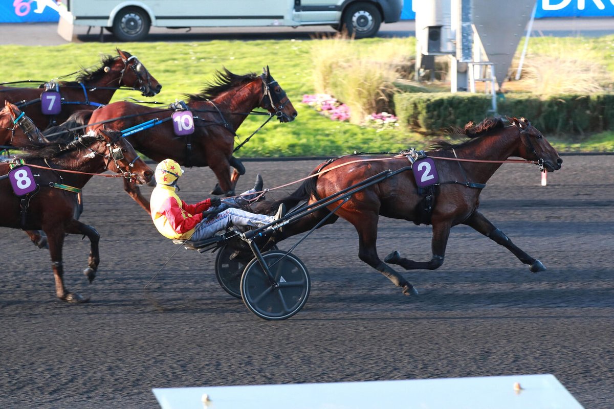 EspaceTrot's tweet photo. 🏆Magnifique victoire de 𝐌𝐔𝐒𝐂𝐋𝐄 𝐃𝐑𝐄𝐀𝐌 à Vincennes avec Mathieu Mottier pour l'entraînement d' Etienne Dubois . 

✈️ un super finish flashé en 1'07'9 les derniers 500 

➡️ Acheté en association par Espace-Trot https://t.co/X5GgPyNa60