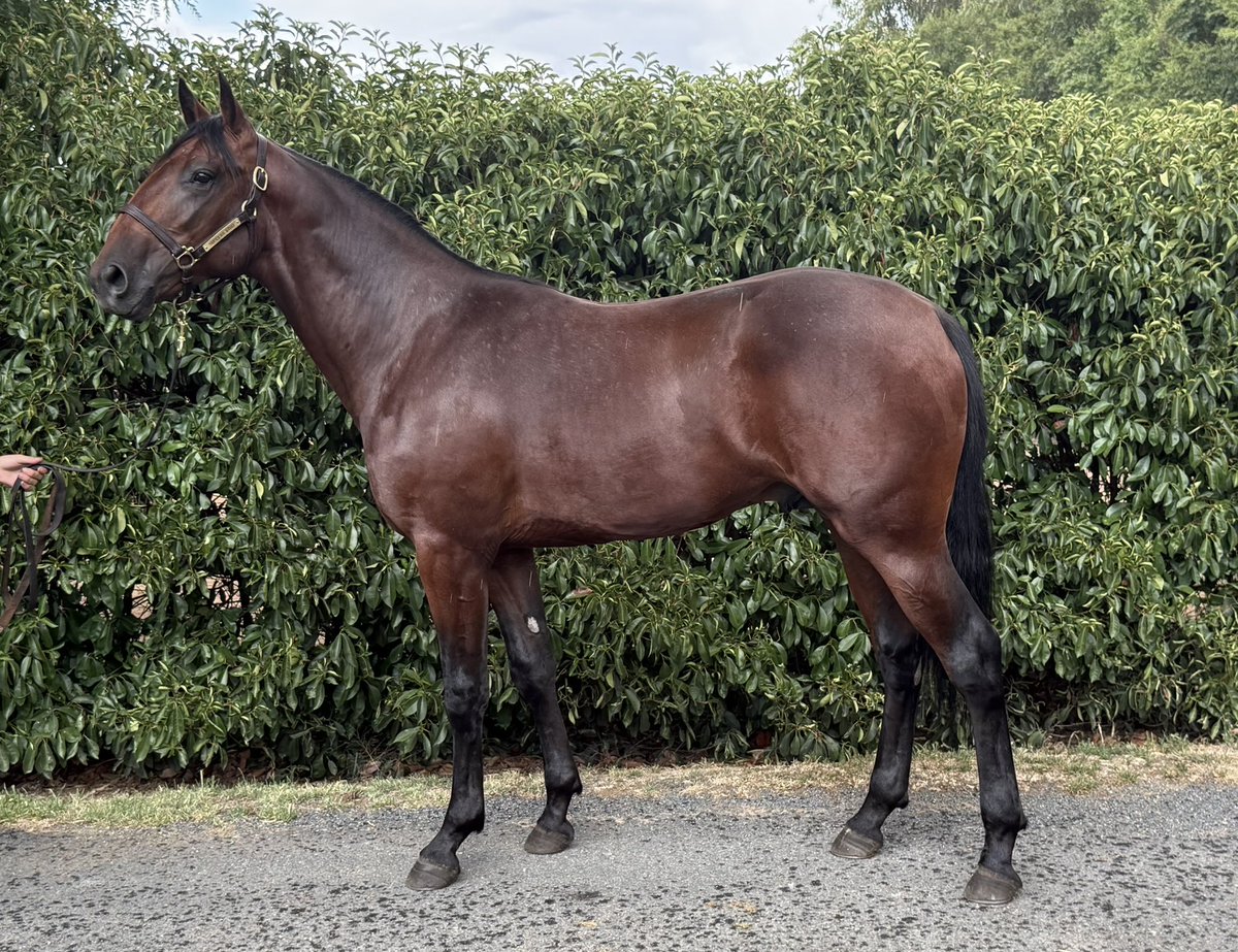 Success Stud tweet media