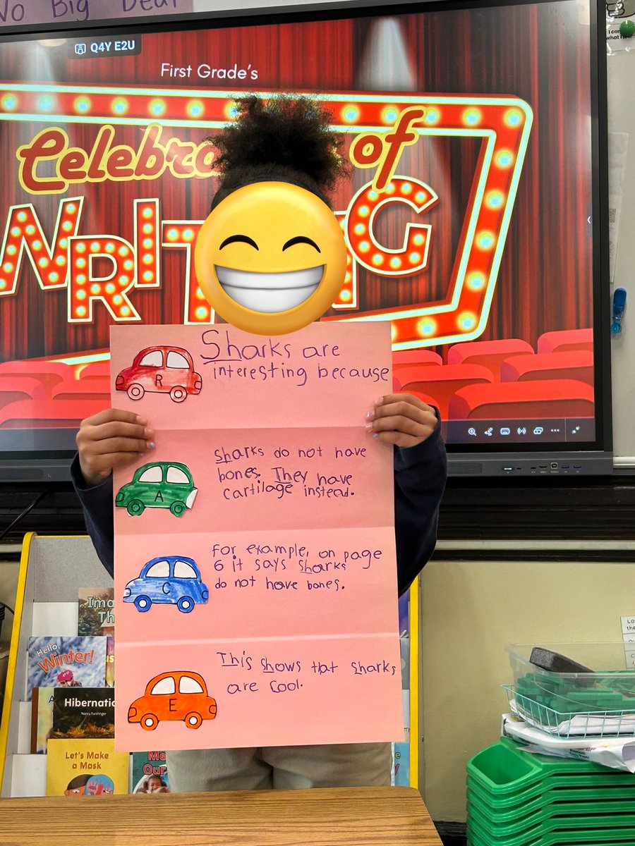 Daniella Groh tweet media