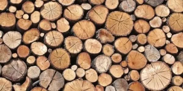 cristian leporati tweet media