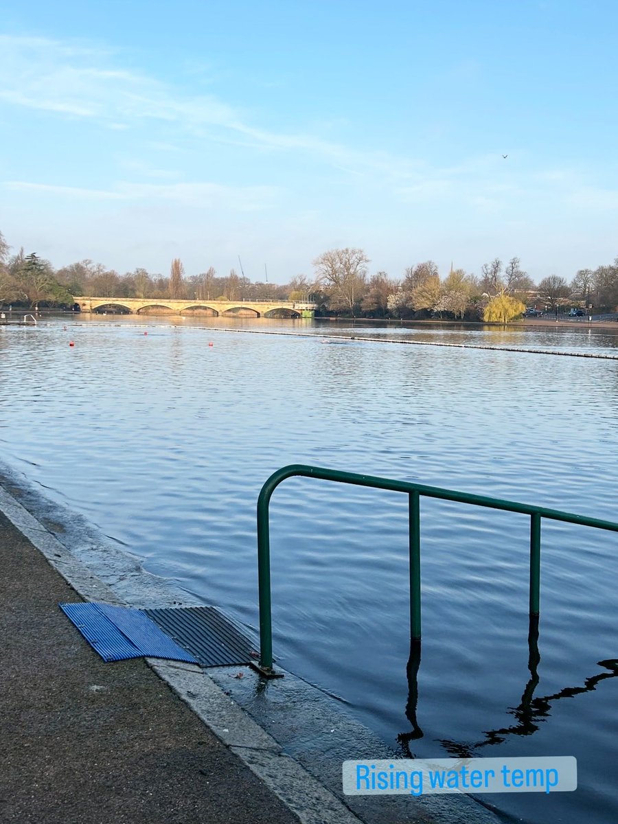 Tessa_Stuart's tweet photo. @SerpsSwimClub https://t.co/PF5MqqUwPm