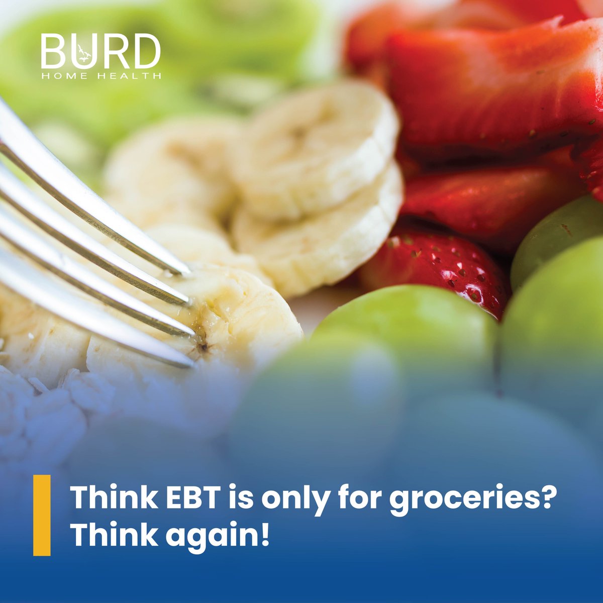 BurdHomeHealth's tweet photo. If you get SNAP benefits and use it only for grocery runs, you could be losing out on a dozen other benefits that come with it. 
--> Find 15 (some known, some lesser known) additional benefits of being a EBT card holder: https://t.co/xGg56PjiLv https://t.co/6ny3cR8M3H
