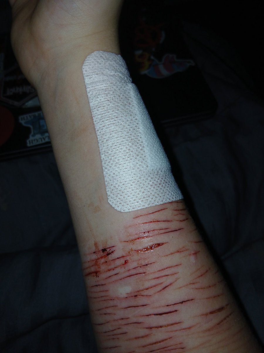 frnkiero of shtwt 🦴 tweet media