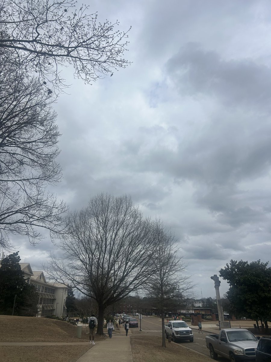 MSU Weather tweet media