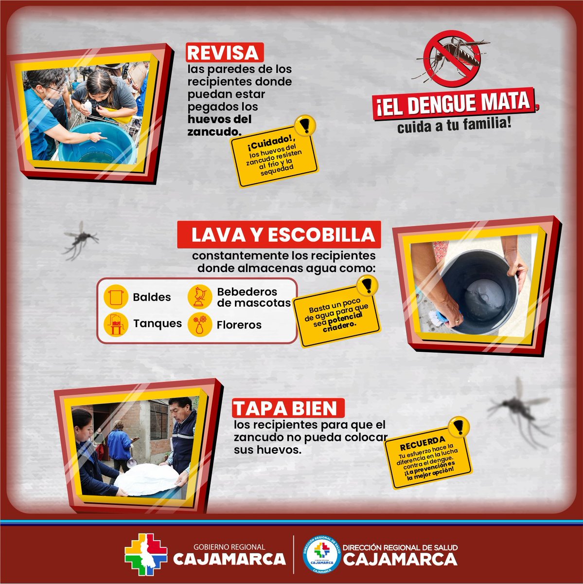 🚨 #ElDengueMata | Identifica y evita los criaderos del zancudo transmisor del dengue en tu hogar, recuerda que es una enfermedad mortal. #CuidaATuFamilia 🦟🚫

#DiresaCajamarca
#GobiernoRegionalCajamarca