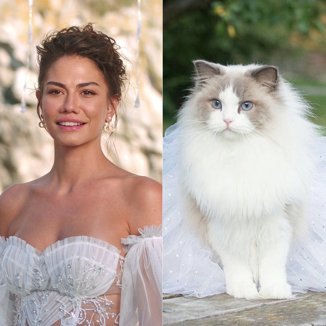 Ena02937938's tweet photo. Un año más junto a ti
Que suerte 🍀 la mía 🫶🏼
İyiKiDoğdun DemetÖzdemir
#DemetÖzdemir https://t.co/nI3JdG0dlF