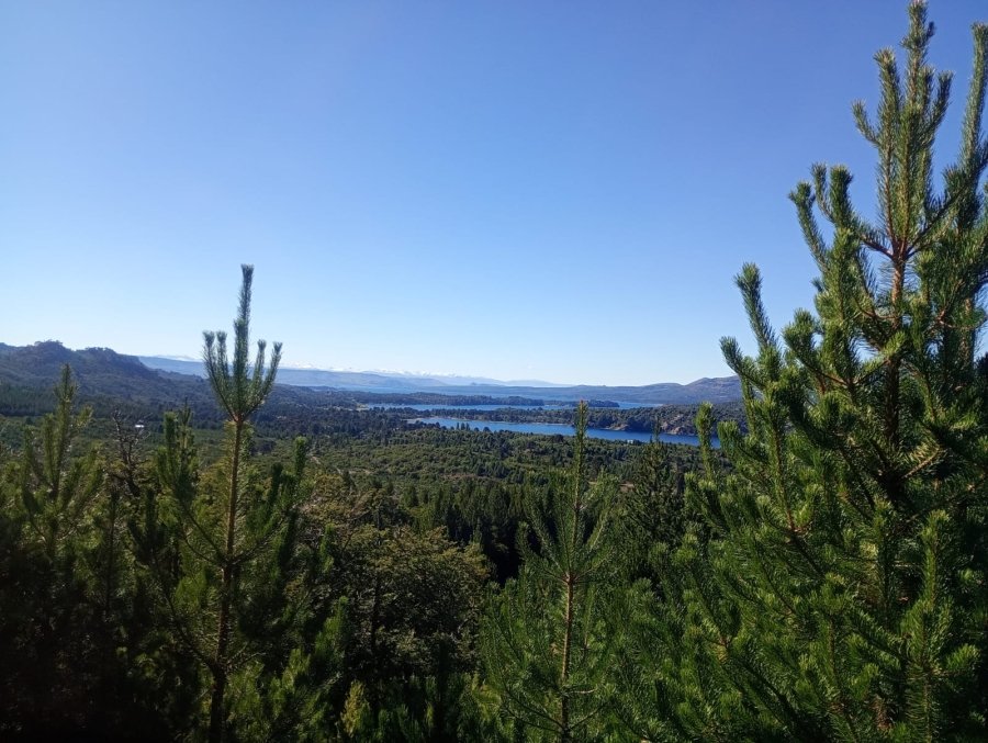 Fundamentar tweet media