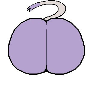 Complify9 tweet media