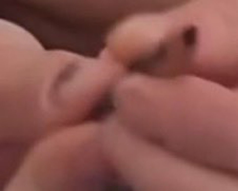 Discord Crave tweet media