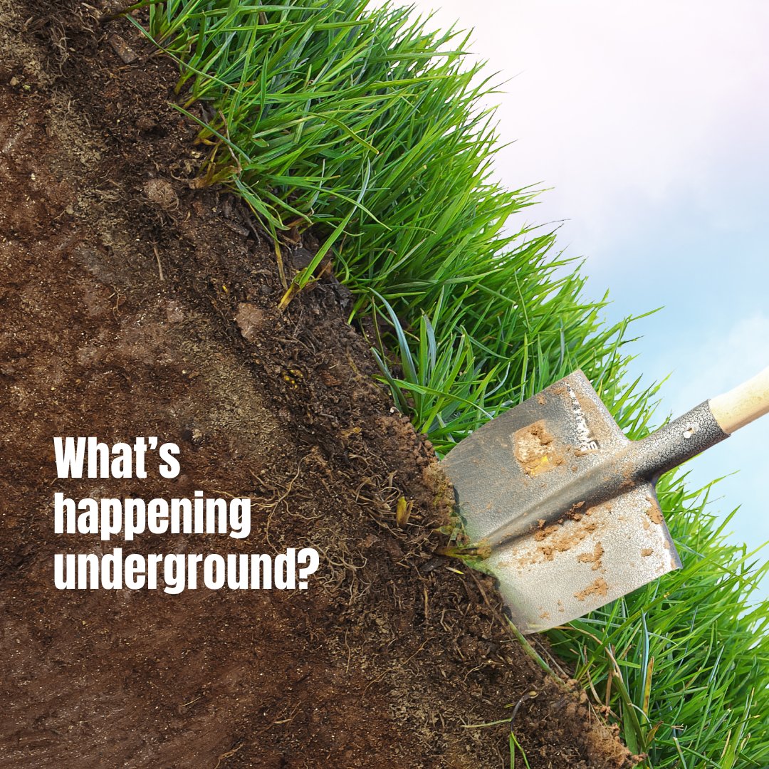 Nebraska 811 tweet media