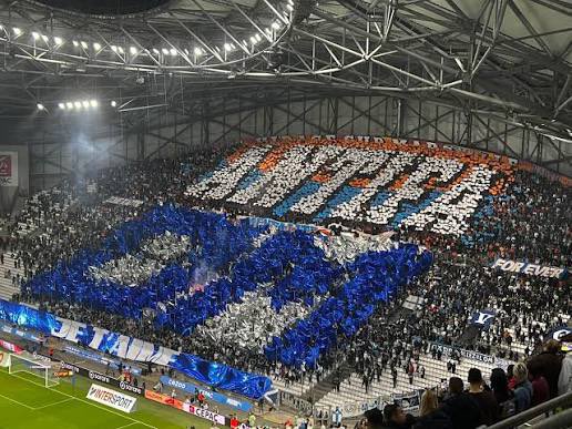 BMS| MysaTrema🇫🇷🇹🇳🇵🇹 tweet media