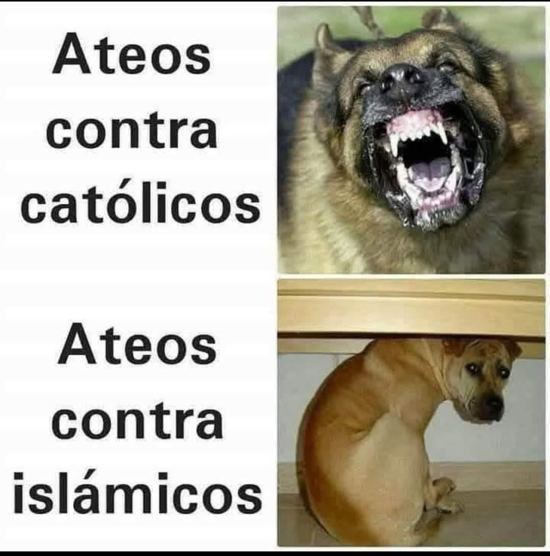 <a href="/isaiaszelada_/">🐲</a>