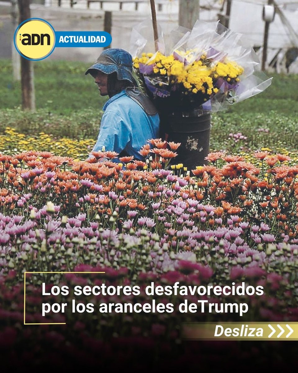 ADNMedellin's tweet photo. Flores, café y más productos colombianos quedan en la cuerda floja por nueva jugada arancelaria ⚖️📊#ComercioInternacional #ADNactualidad

📍Conoce más en https://t.co/IoeR9FKSvW https://t.co/lTs8dWcako