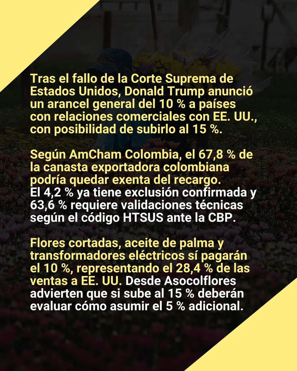 ADN Cali tweet media