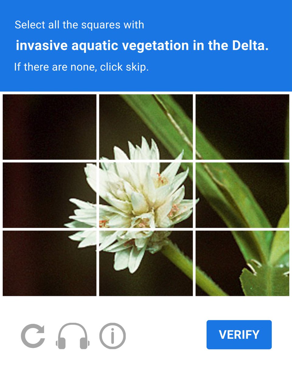 Delta Conservancy tweet media