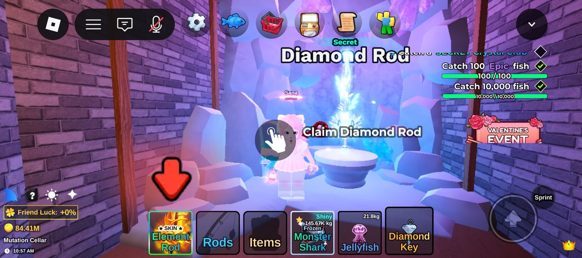akhirnya diamond rod