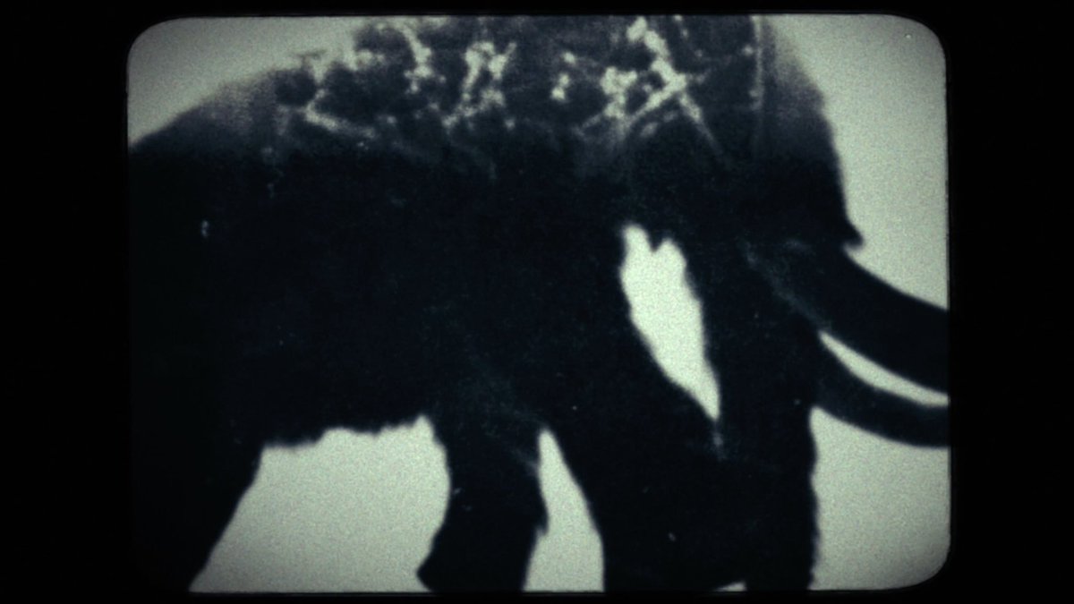 Graham Uhelski ▲ “Cryptica” tweet media