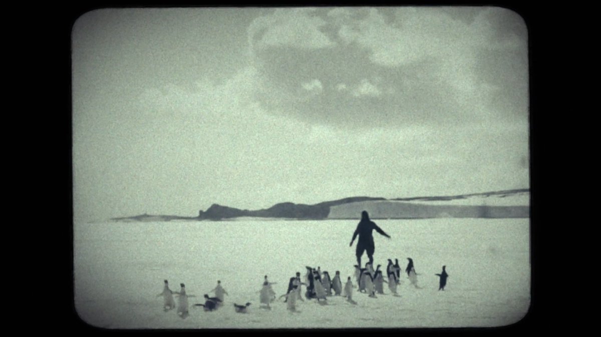 Graham Uhelski ▲ “Cryptica” tweet media