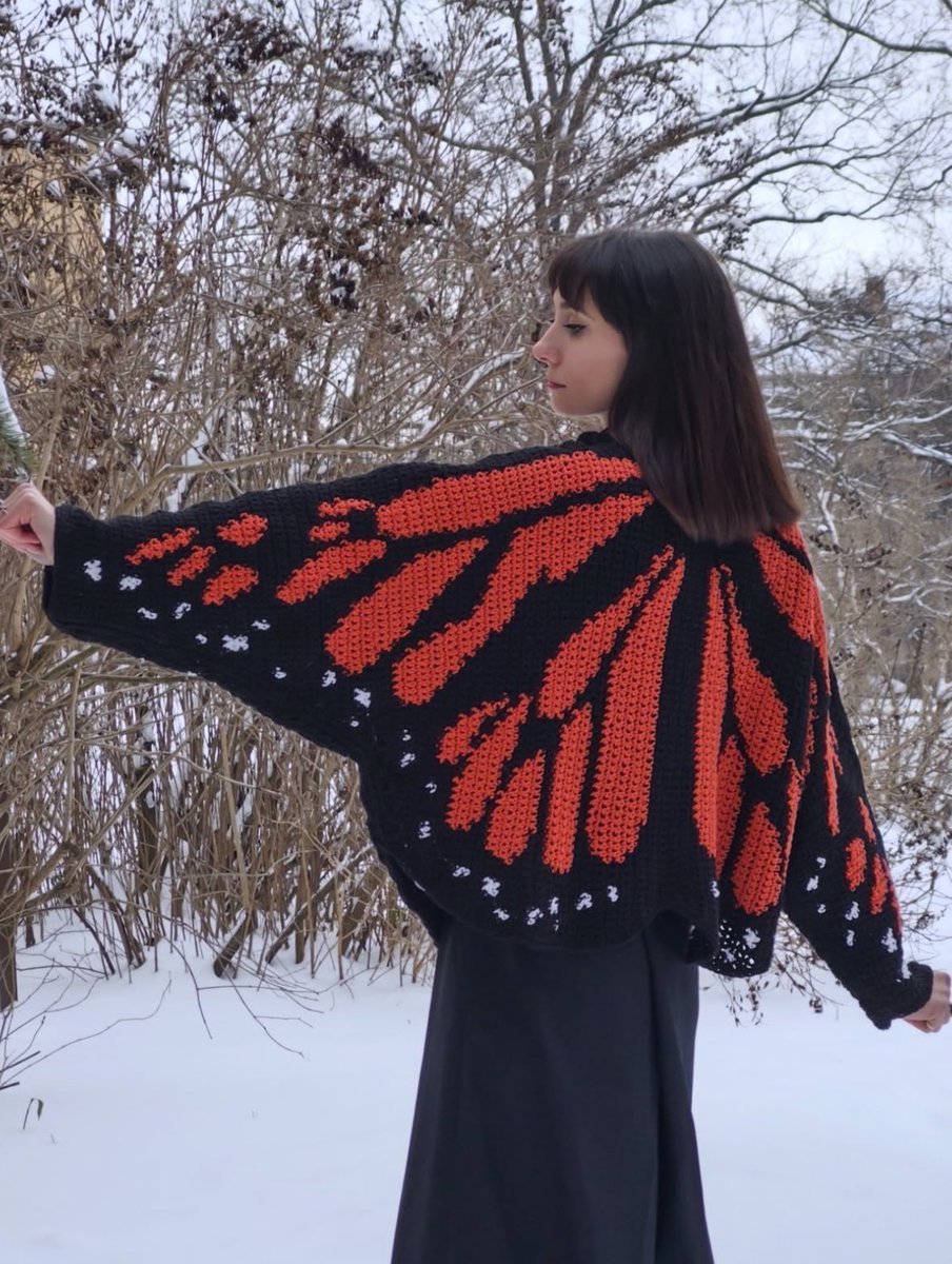 the butterfly sweater