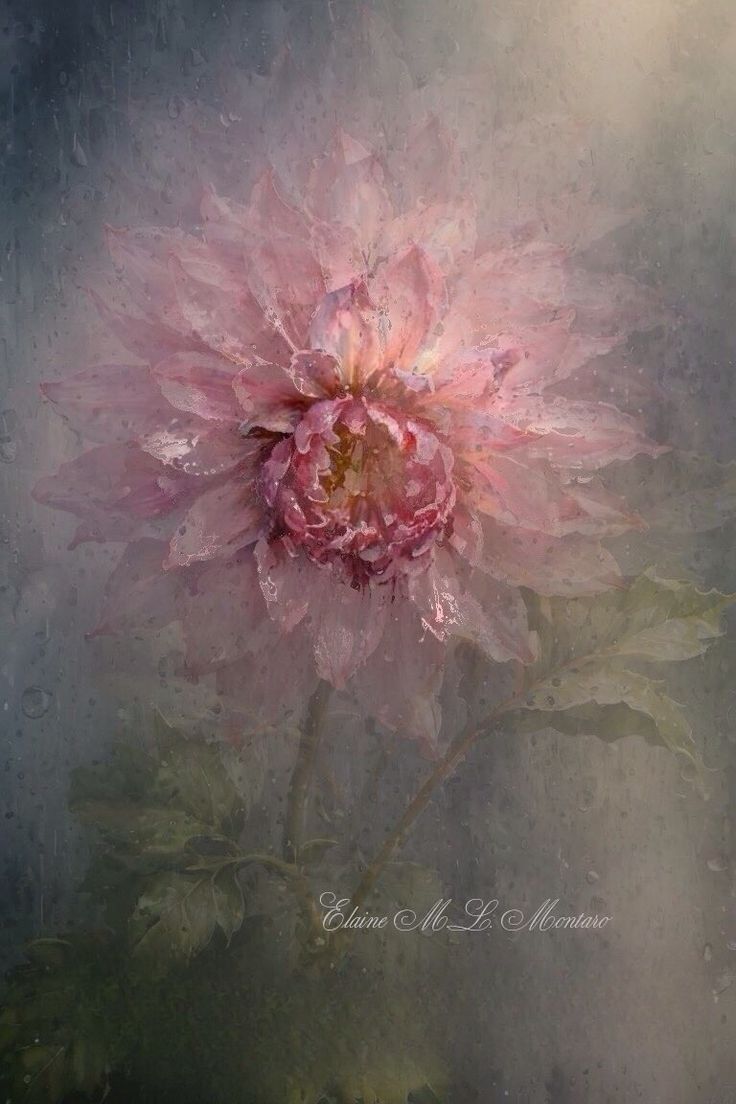 Oia ~ glOrIA tweet media