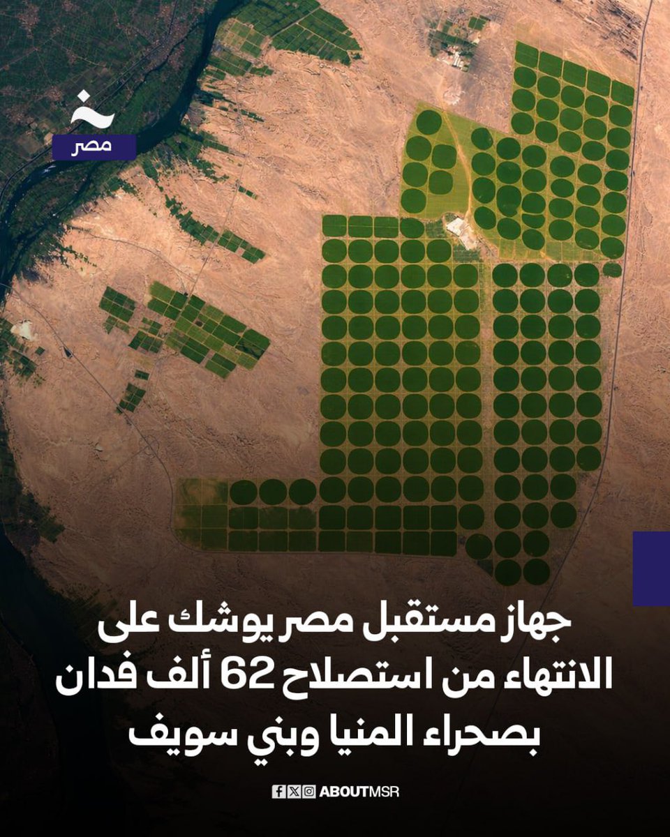 خاص - مصر tweet media