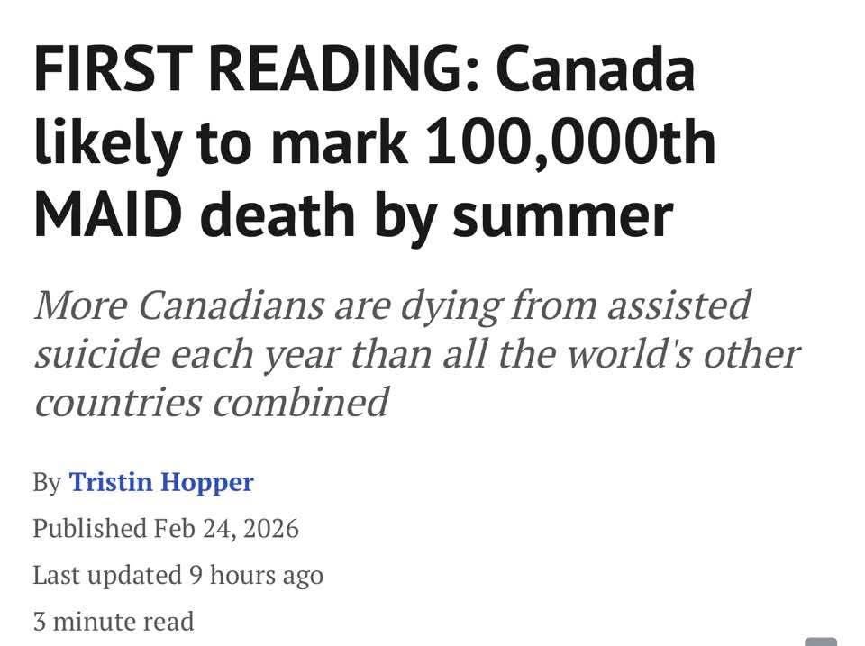 Melissa Chen tweet media