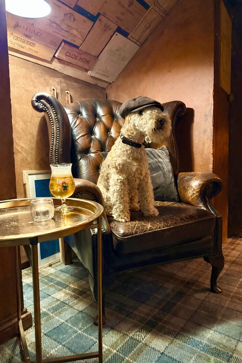 Bertie Lakeland tweet media