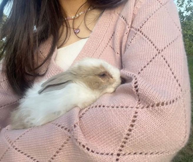 omar as bunny🐇 (@omarasbunny) on Twitter photo 