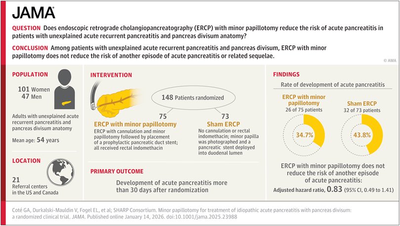 Mohsen Subhani tweet media