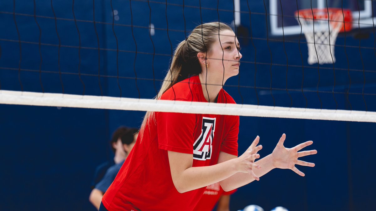 Arizona Volleyball tweet media
