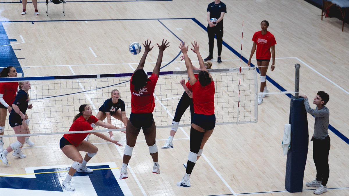 Arizona Volleyball tweet media