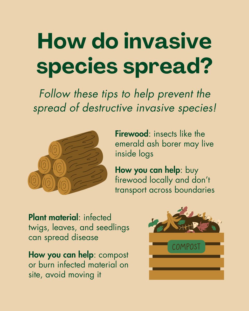 State Foresters tweet media