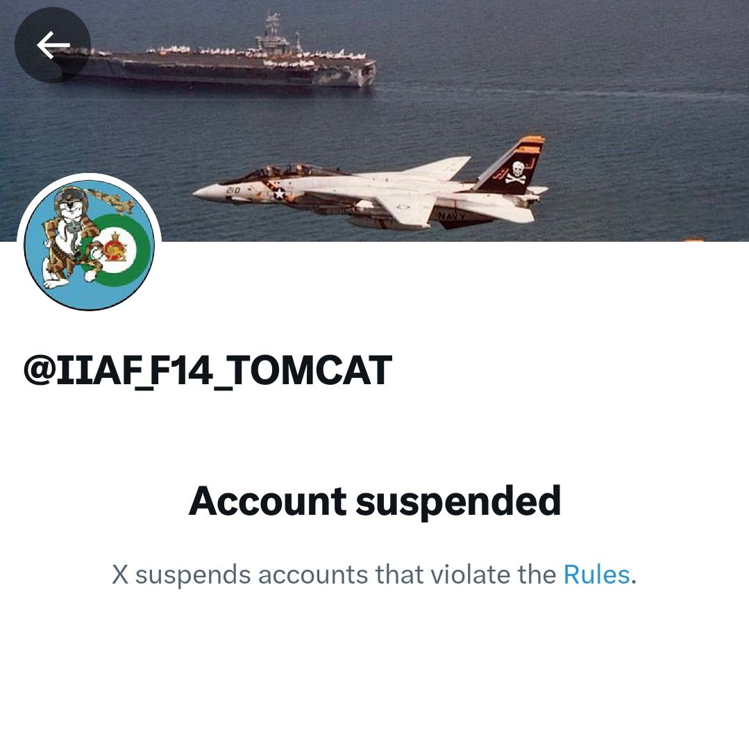 تتوآرتیست tweet media