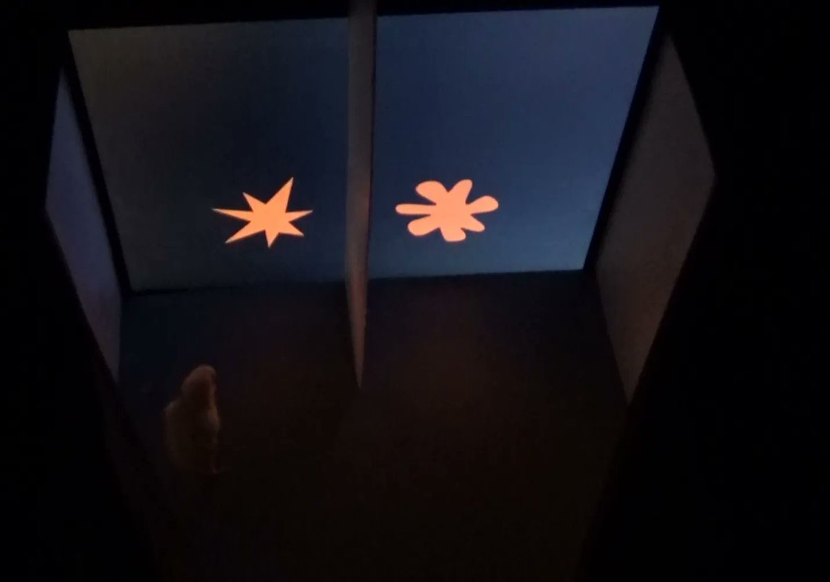 Mateusz Kostecki tweet media