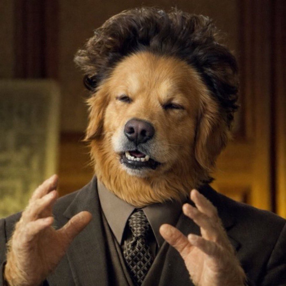 <a href="/Bayc364/">KOKO🫡</a> $BP is the real one