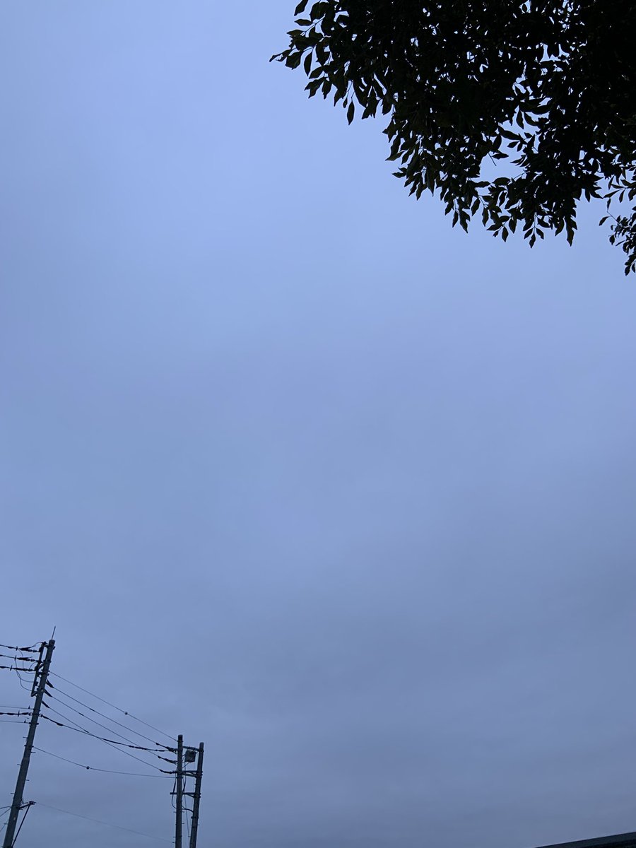 catmilk930's tweet photo. 今朝6℃すごい曇ってる☁️ https://t.co/KOmRdjJTSF