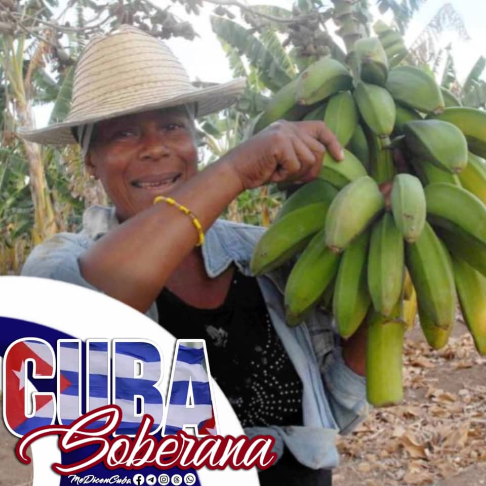 Smith (@smith_inf) on Twitter photo 