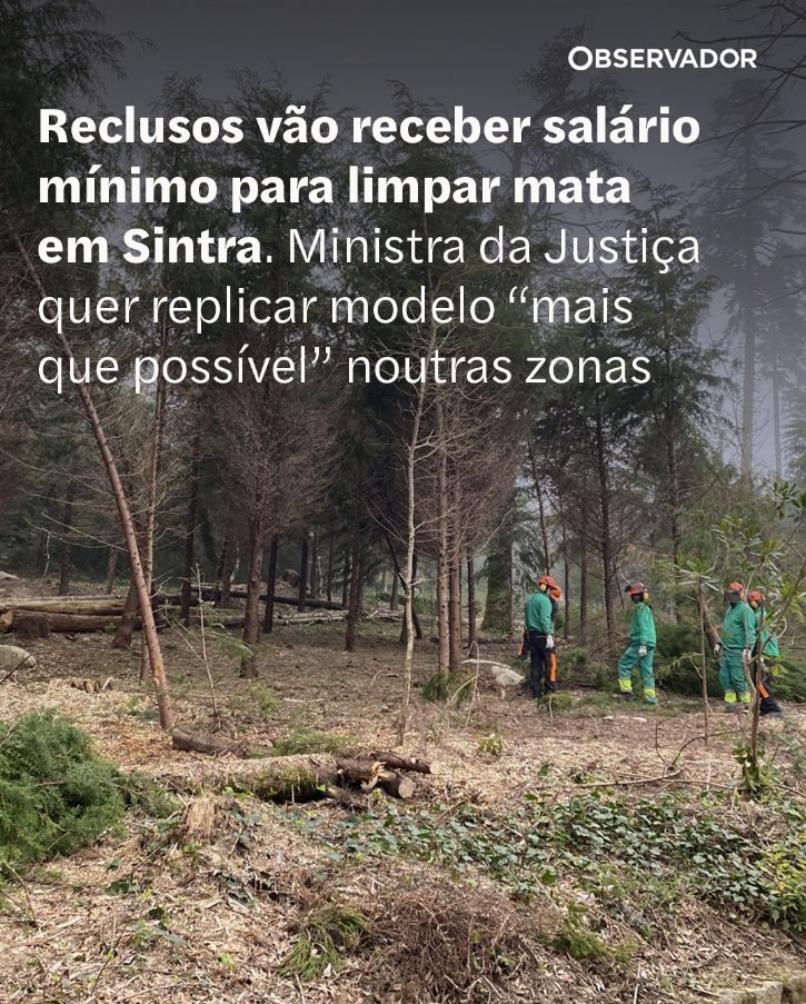 DCalebrita's tweet photo. Não tem de, nem merecem, receber um salário mínimo. Têm de trabalhar para pagar a sua estadia na prisão.

Cada preso custa por mês, aos Portugueses, cerca de 1700euros, agora somem-lhe um salário mínimo a isto. 

A 3a República quando cair, caí com estrondo. https://t.co/m1S7og8FYp