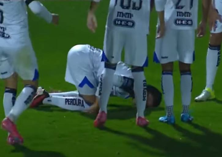 No critico a los therians por que alguna vez quise ser estos! 😎😅