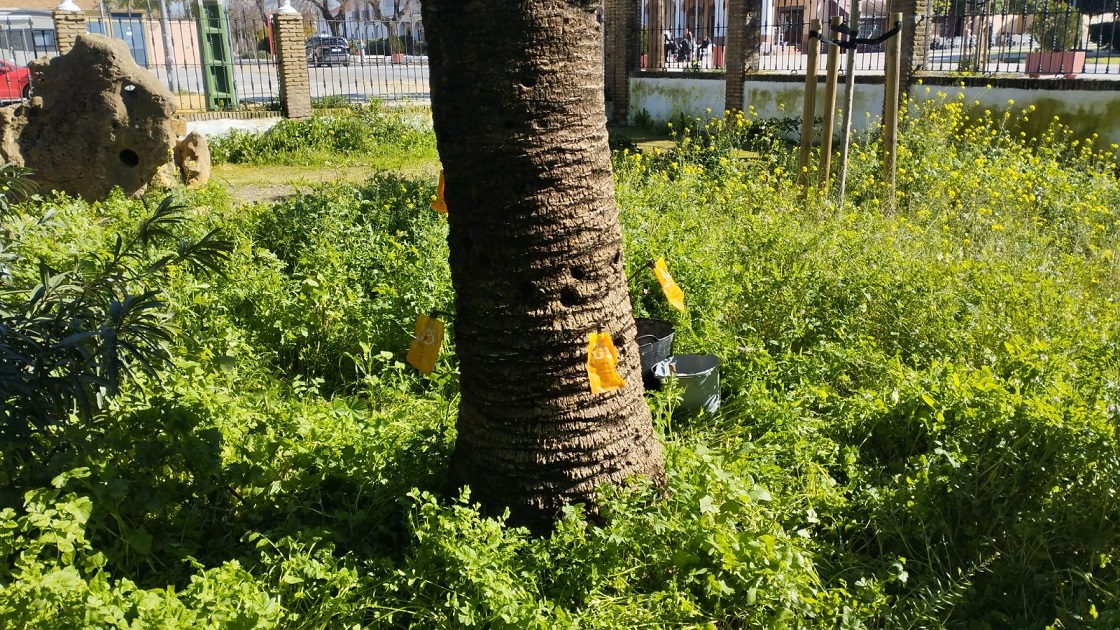 RADIO CONSOLACION DE UTRERA tweet media