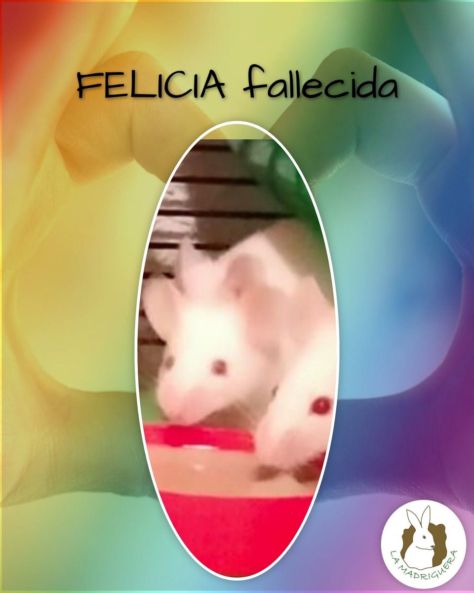 APPA La Madriguera tweet media