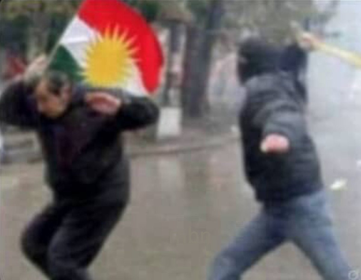 Arash Hampay tweet media