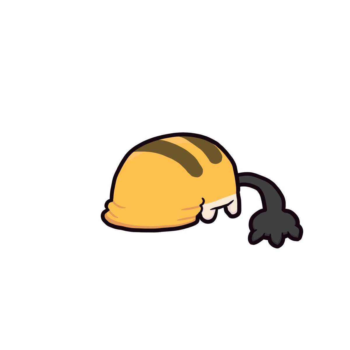 Daily Shoebox News tweet media