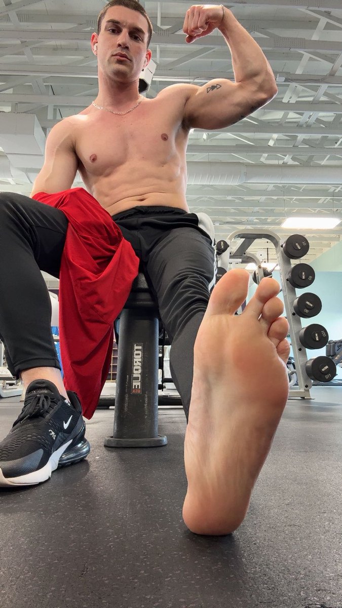 TheAlphaIvan tweet media