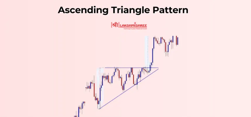 𝙶𝚒𝚊𝚕𝚕𝚘 tweet media