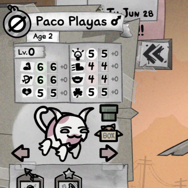 belen deudas 🧀 tweet media