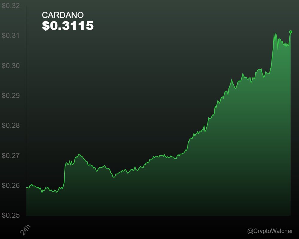 CryptoWatcher tweet media
