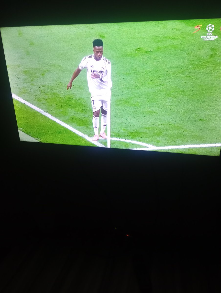 Vini!!
Fuck them up boy!