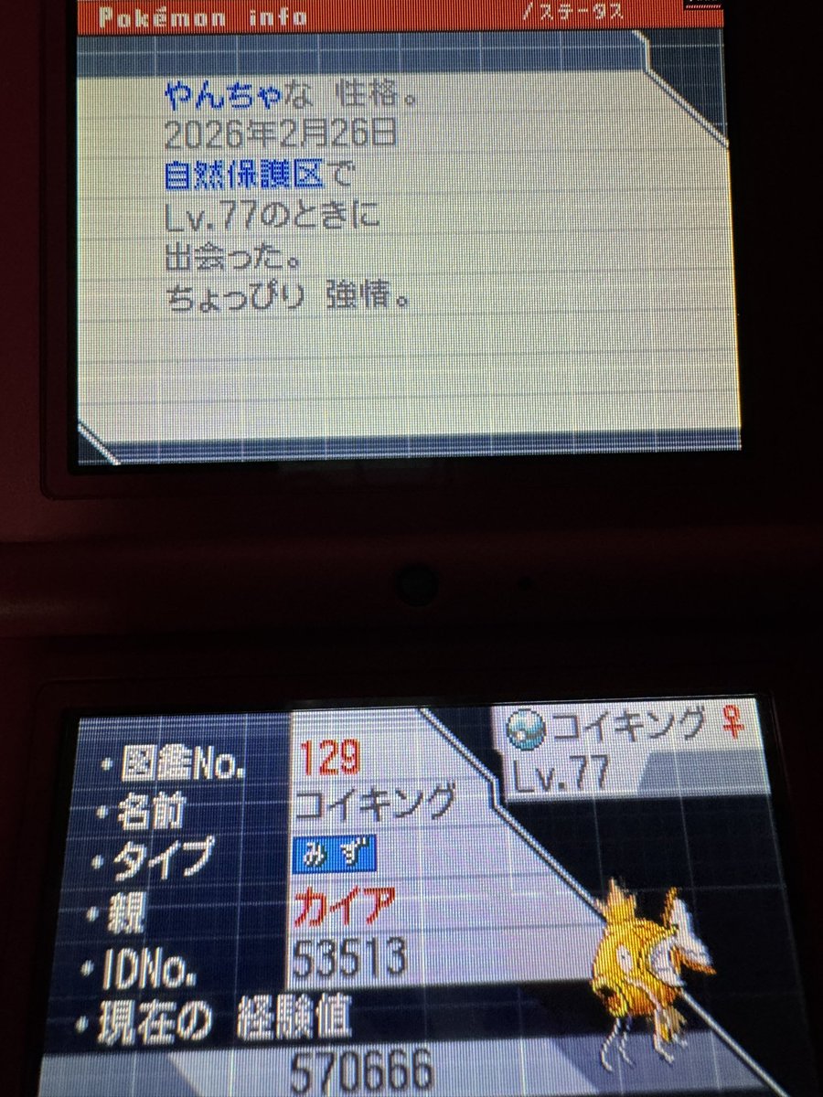ダーヤマ★*゚ポケモンコレクター tweet media